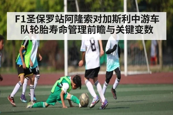 F1圣保罗站阿隆索对加斯利中游车队轮胎寿命管理前瞻与关键变数